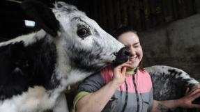 proximité d'une éleveuse avec sa vache