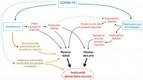 schema-covid-insecurit-alimentaire