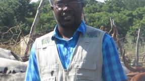 Mahamoud Sow, ICD, Mali