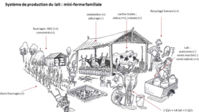 Mini-ferme laitière en Afrique de l'Ouest