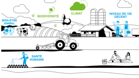 les différents aspects de la durabilité alimentaire © Le Basic