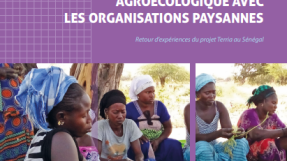  Villemin A., Ngom M., Faye I.M., Benkahla A. (2022), Accompagner la transition agroécologique avec les organisations paysannes : retour d’expériences du projet Terria au Sénégal, Nogent-sur-Marne, Éditions du Gret, 56 p., Cahier projet