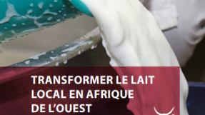 Broutin C., Goudiaby M.-C. (2021), Transformer le lait local en Afrique de l’Ouest : procédés et clés de développement des minilaiteries, Éditions du Gret/Éditions Quæ, 272 p., Guide pratique.