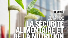 L’état de la sécurité alimentaire dans le monde – rapport 2023