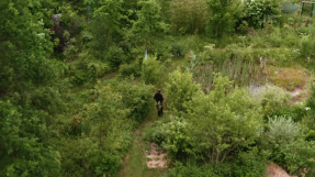 visuel forêt gourmande