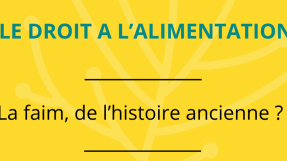 droit à l'alimentation