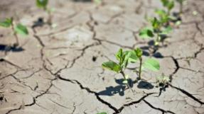 agriculture biologique, rempart contre le changement climatique