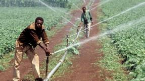 Le retour de l'agriculture