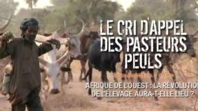 Affiche du film "Le cri d'appel des pasteurs peuls"