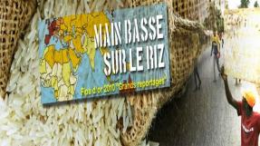 Visuel du film "Main basse sur le riz"