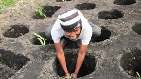 Jeune Malgache formé par les MFR, ici dans son champ de taro © Julie Erceau MFR 