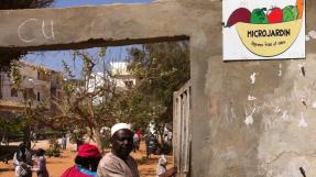 "MICROJARDIN Légumes frais et sains", Dakar © Isabelle Duquesne