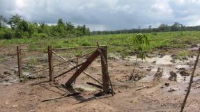 Cambodge, Photo de Licadho