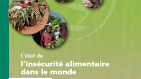 Couverture rapport FAO