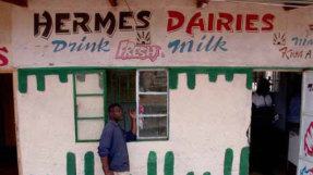 Kenya, bar servant du lait frais local