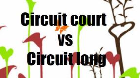 Exposition Circuit court contre circuit long