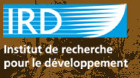 Logo IRD