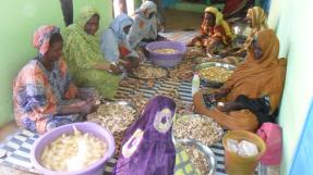 Transformation des patates douces en farine © Hawa War