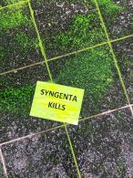 Syngenta kills © Le Réseau de Soutien à l'Agriculture Paysanne