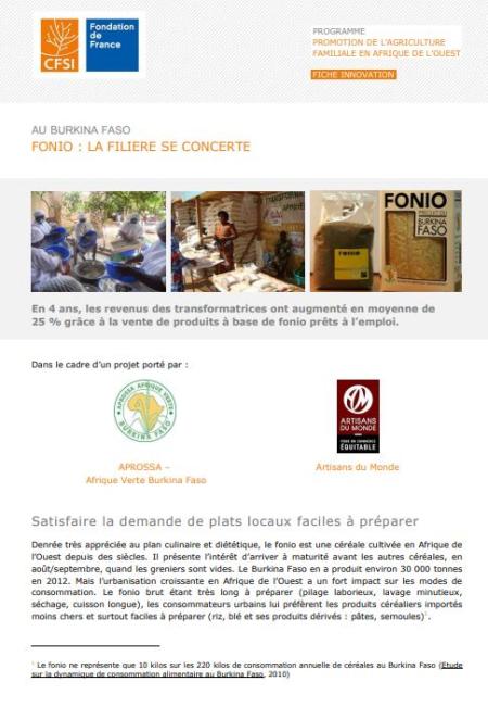 Fonio : la filière se concerte