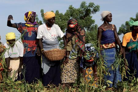 Femmes travaillant dans les champs, Burkina © Paola Viesi - Cultures of resistance films