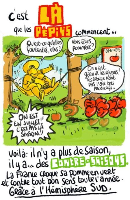 BD des pommes contre-saison qui viennent garnir nos rayons