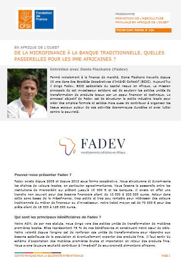 Entretien avec Denis Flachaire, Fadev