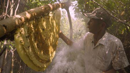 Une terre sans abeilles