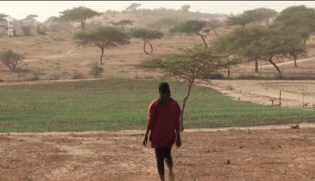 agriculture Sénégal