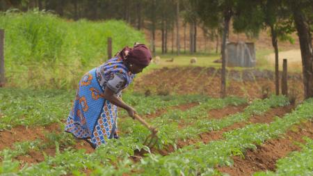 Photo du film "Vertueuses les multinationales ?" © Florence Kinoti / NDR ARTE