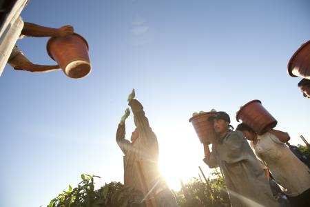 Photo du film "Food chains"