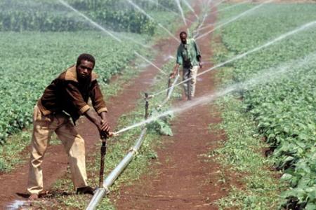 Le retour de l'agriculture