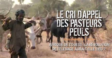 Affiche du film "Le cri d'appel des pasteurs peuls"