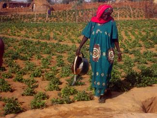 Photo du film "La crise alimentaire, une chance pour les paysans"