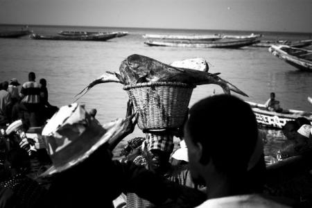 Photo pêche Sénégal © Ivano Trabalza