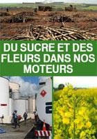 Visuel du film "Du sucre et des fleurs dans nos moteurs"