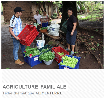 Canastas campesinas - paniers paysans au Salvador © Secours Populaire Français