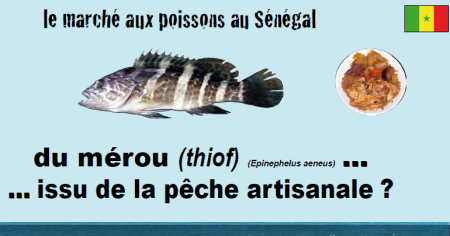 Jeu de la pêche