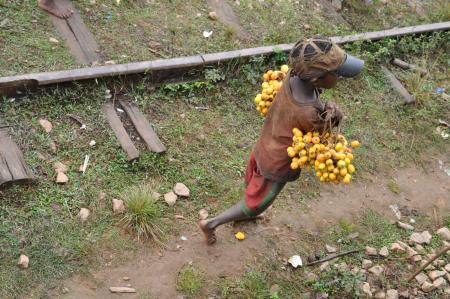 Photo Madagascar enfant train