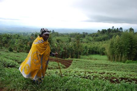 Agricultrice RDC