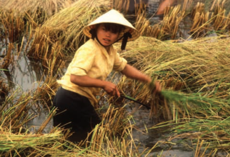 Femme agricultrice