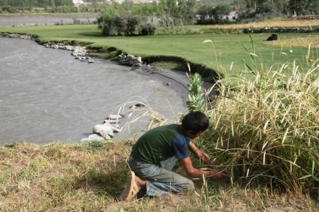 Partout dans le monde, la conservation des semences par les paysans est un enjeu