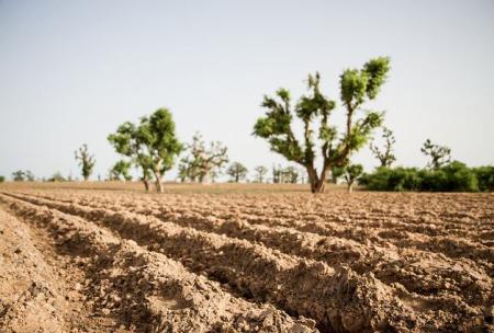 Photo de Neil Palmer (CIAT)