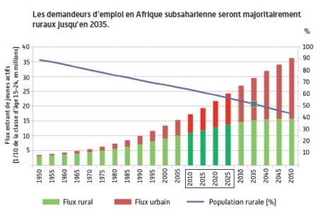 Graphique CIRAD sur les demandeurs d'emplois en Afrique