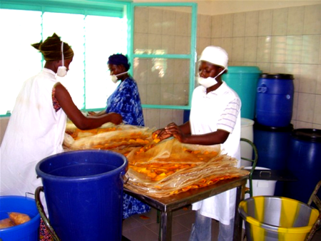 Transformation de la mangue au Burkina Faso © ARDEAR