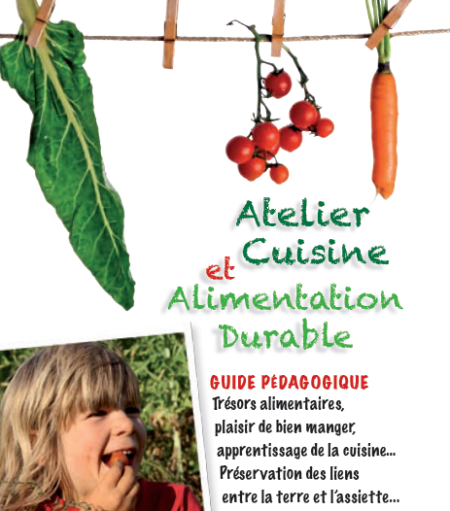 Couverture guide ANIS étoilé