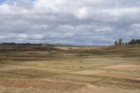 terres Madagascar